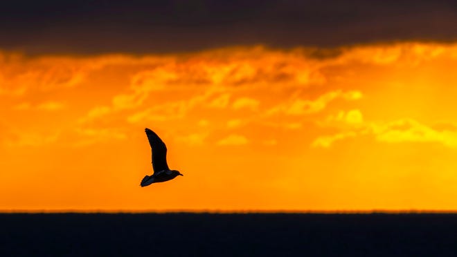 the-bastille-day-secret-how-a-forgotten-american-spy-saved-the-french-revolution-from-a-hidden-betrayal-2025-07-11t133835-138z-file-jpeg The Bastille Day Secret: How a Forgotten American Spy Saved the French Revolution From a Hidden Betrayal